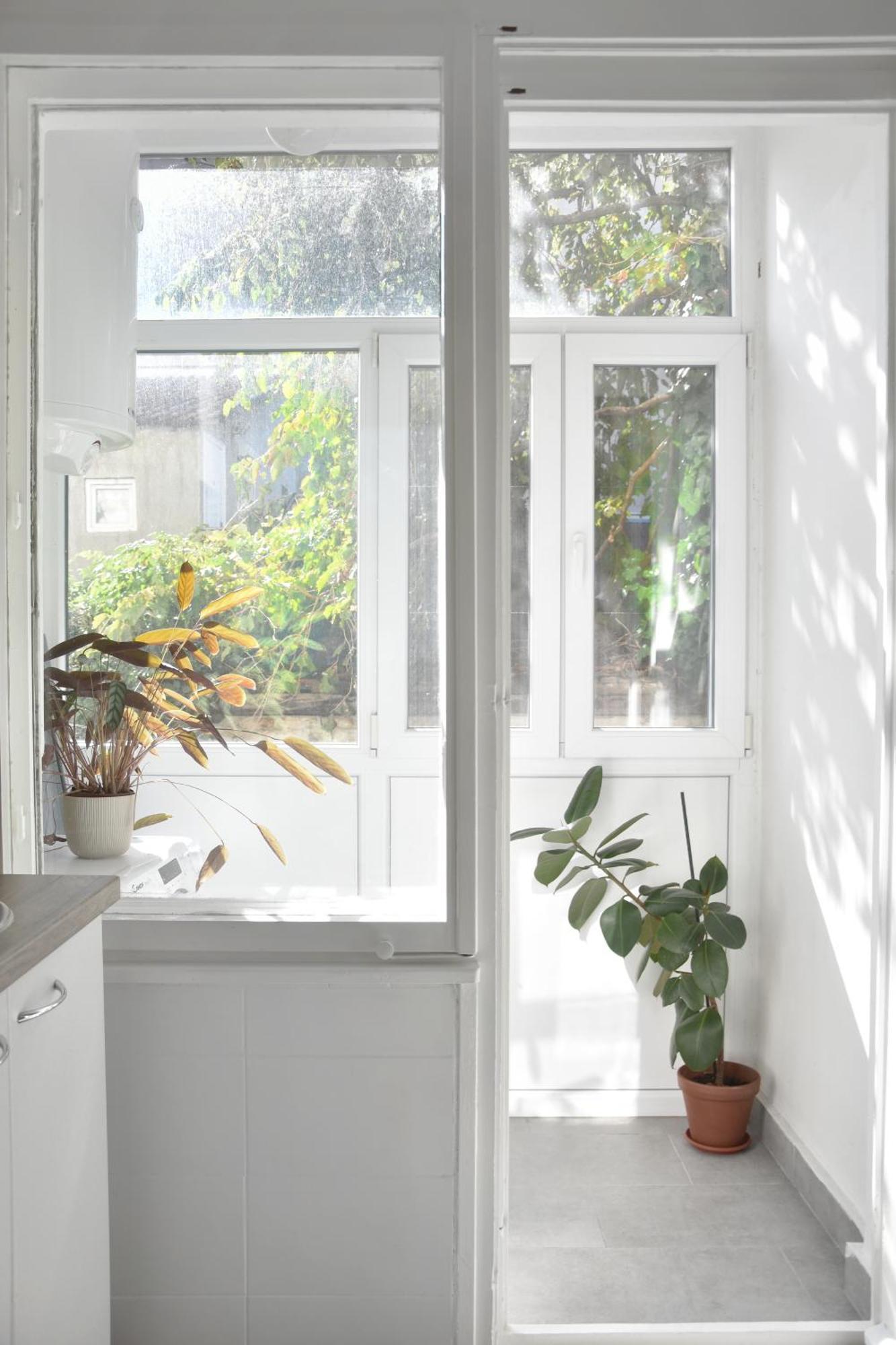 Apartamento Pannonian Sailor Novi Sad Exterior foto